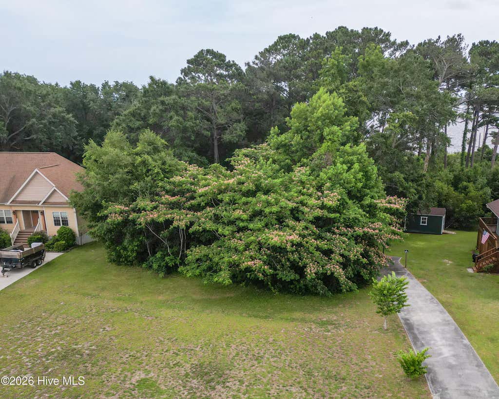 Photo of 131 Deepwater Drive, Stella, NC 28582 (MLS # 100581548)