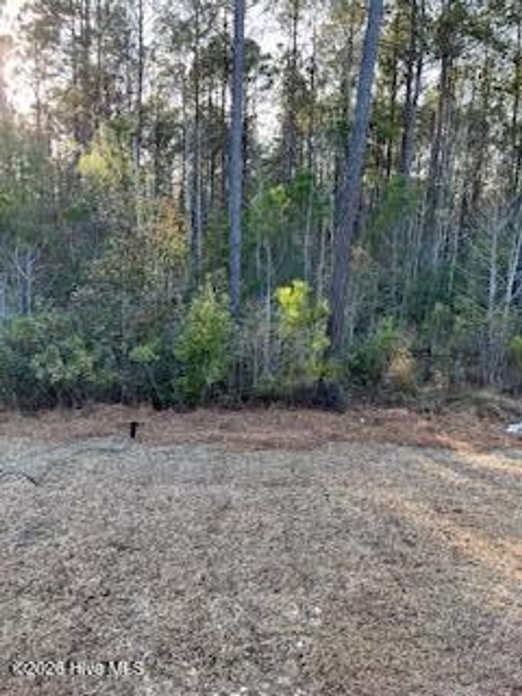Photo of 462 Ladyfish Loop NW #Lot 60 Idlewood, Sunset Beach, NC 28468 (MLS # 100551230)