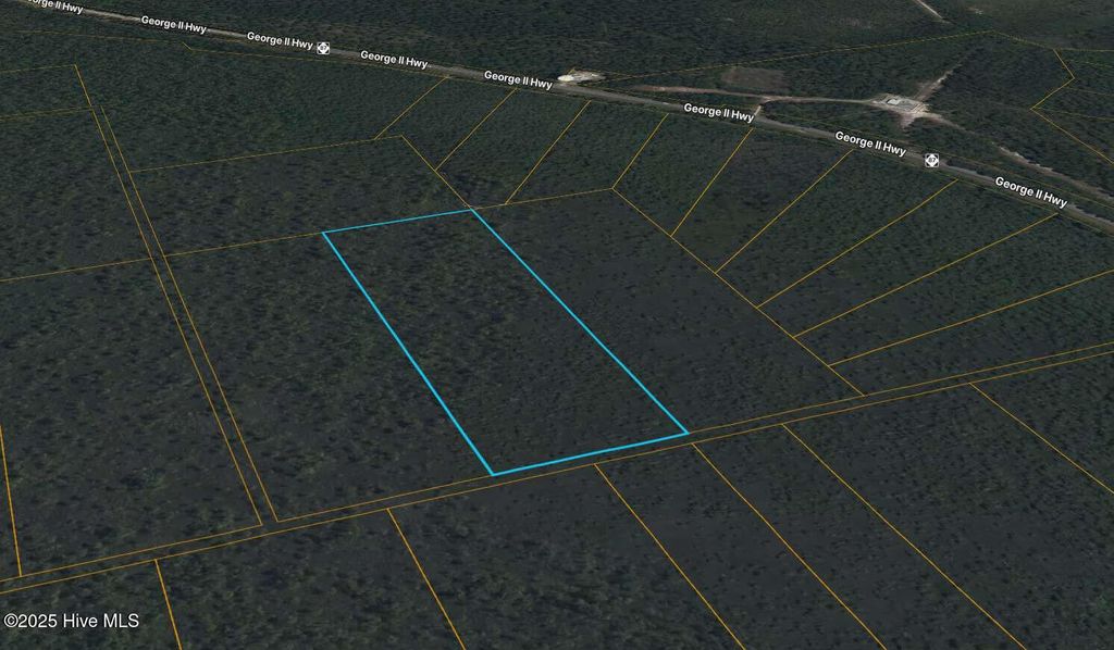 Photo of 0 George Ii Highway SE, Winnabow, NC 28479 (MLS # 100542711)