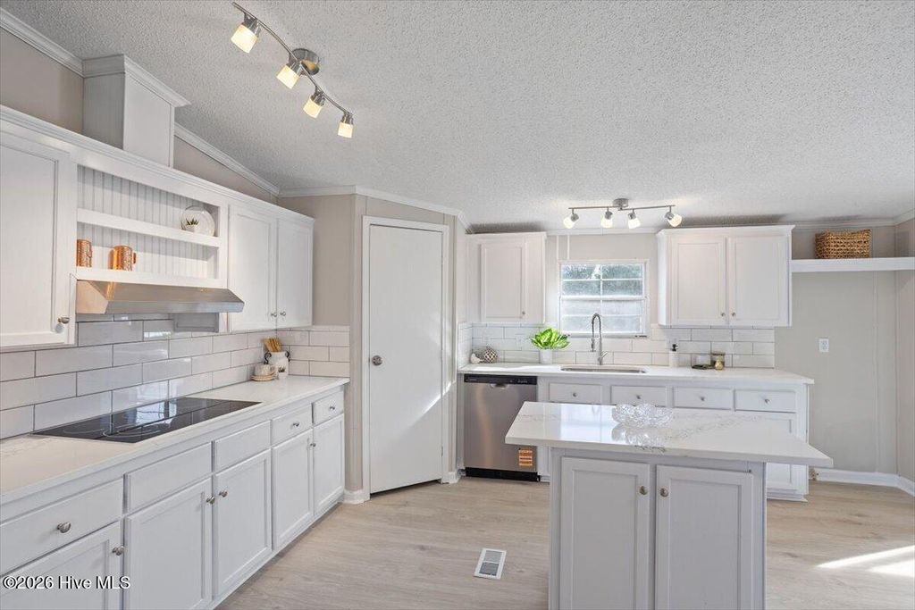 Photo of 371 Woodland Church Road, Dudley, NC 28333 (MLS # 100547313)