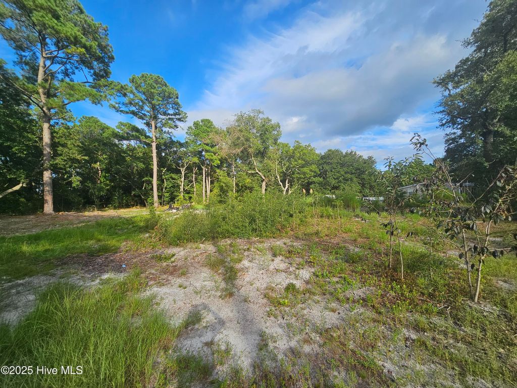 Photo of 162 Holden Road, Holly Ridge, NC 28445 (MLS # 100526768)