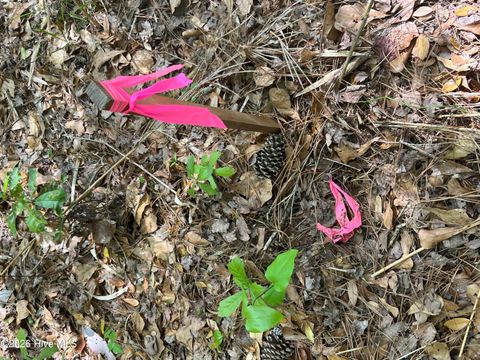 Tiny photo for 0 Perkins Drive, Hampstead, NC 28443 (MLS # 100566782)