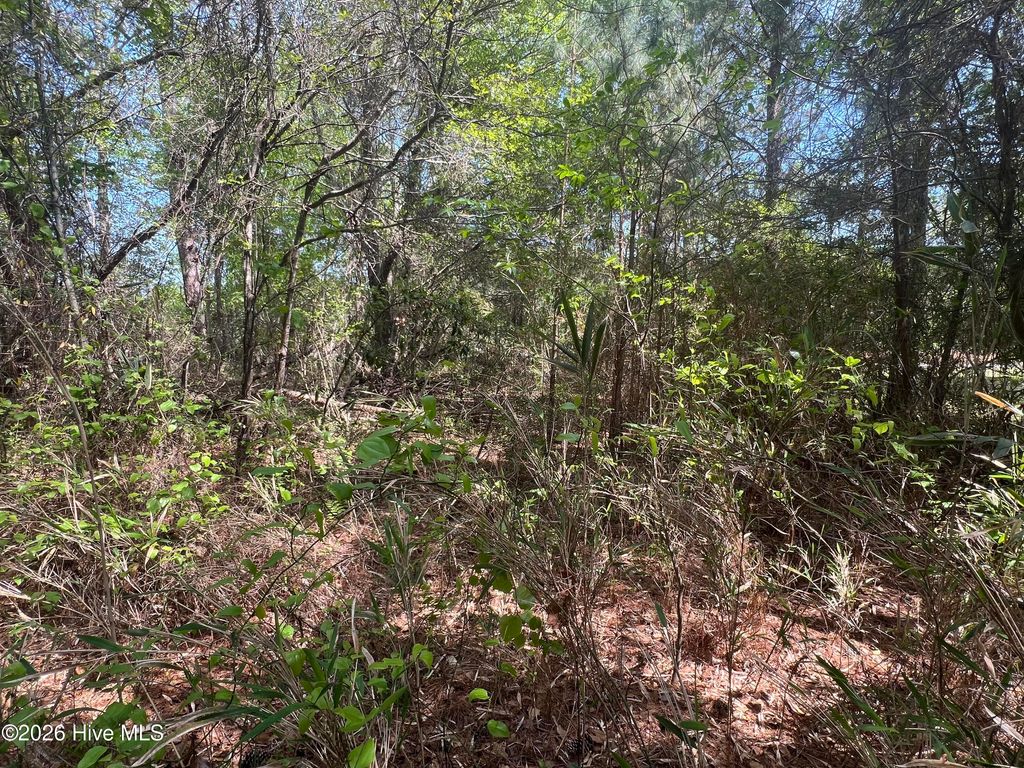 Photo of 0 Perkins Drive, Hampstead, NC 28443 (MLS # 100566782)