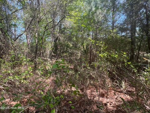 Tiny photo for 0 Perkins Drive, Hampstead, NC 28443 (MLS # 100566782)