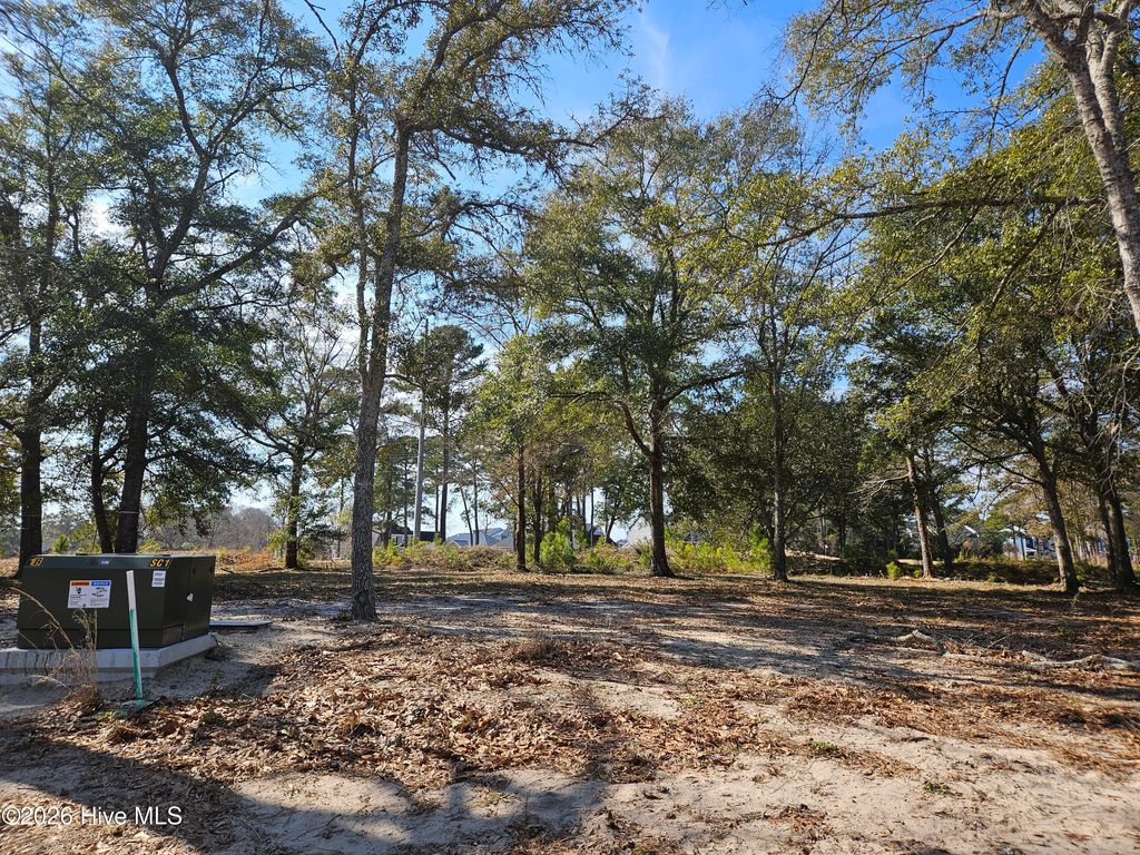 Photo of 1178 Montclair Place SW, Sunset Beach, NC 28468 (MLS # 100554349)