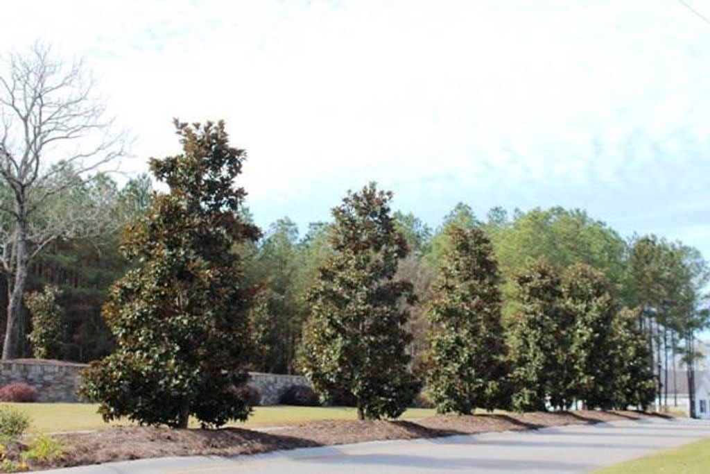 Photo of 1229 Yost Drive, Appling, GA 30802 (MLS # 465091)