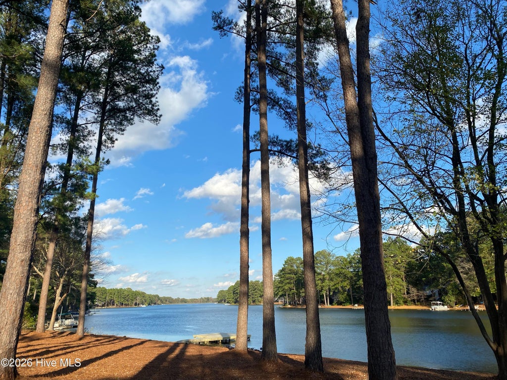 Photo of 172 Pine Ridge Drive, Whispering Pines, NC 28327 (MLS # 100583559)