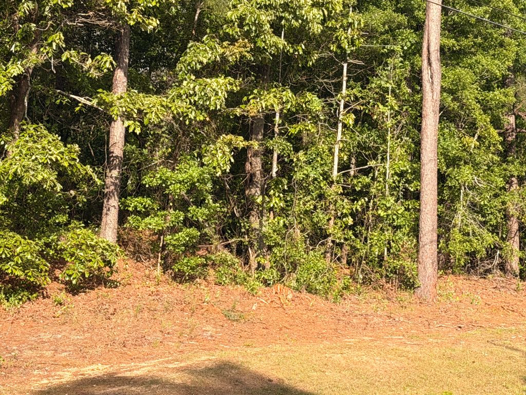 Photo of 2943 Willis Foreman Road, Hephzibah, GA 30815 (MLS # 555407)