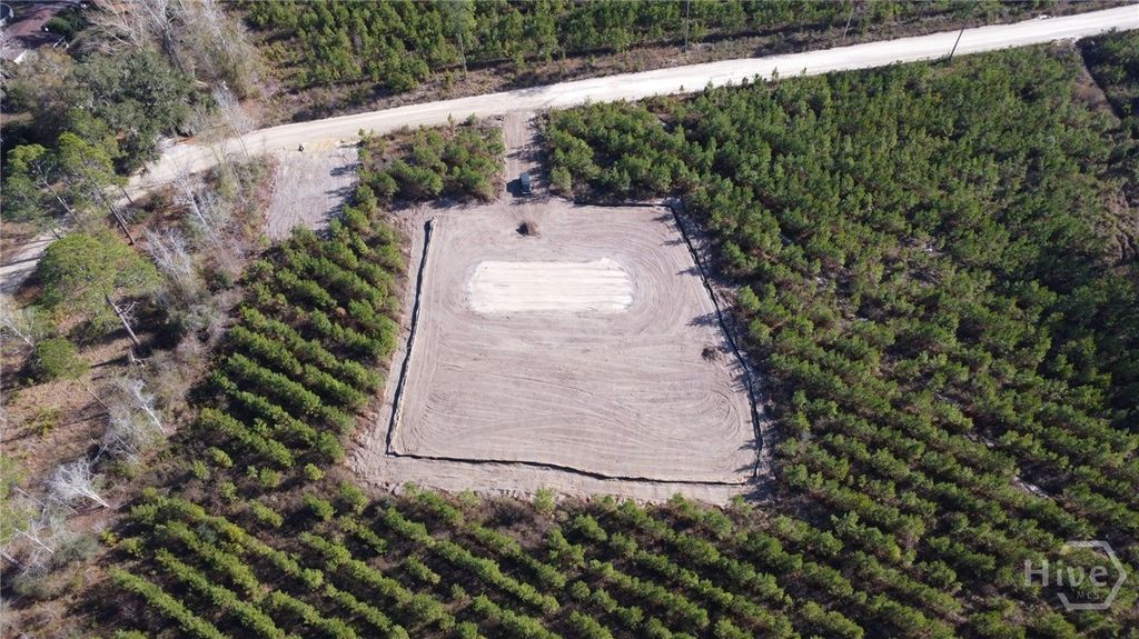 Photo of 4 Bradwell Dunham Road, Ludowici, GA 31316 (MLS # SA345360)