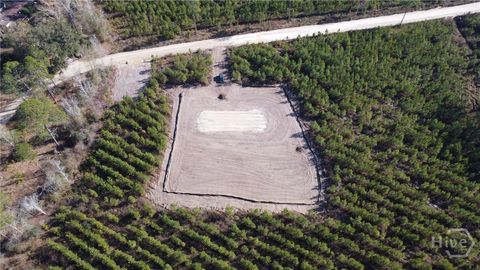 Homes For Sale - TRACT #4 Bradwell Dunham Road<br/> Long County, Ludowici, GA 31316