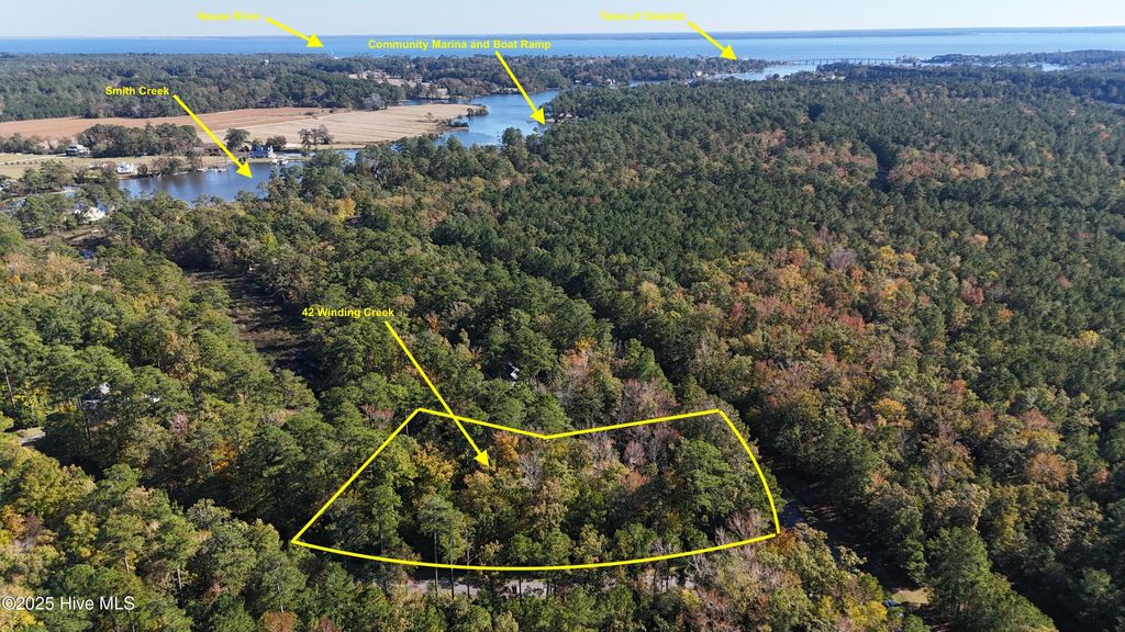 Photo of 42 Winding Creek Drive, Oriental, NC 28571 (MLS # 100553136)