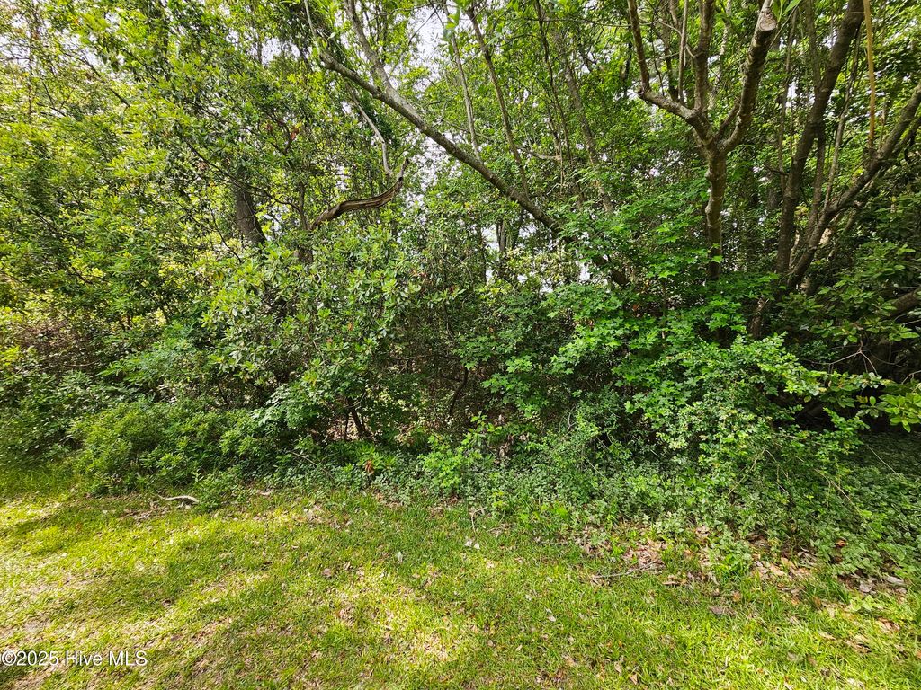 Photo of 1203 Petite Terre Court, New Bern, NC 28560 (MLS # 100501331)