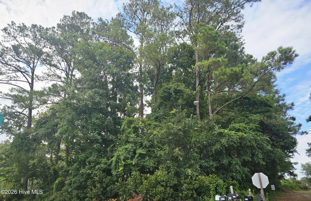 Photo of 5608 E Yacht Drive, Oak Island, NC 28465 (MLS # 100591683)