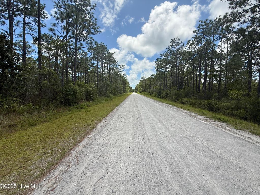 Photo of 407 Sunset Road, Boiling Spring Lakes, NC 28461 (MLS # 100518194)