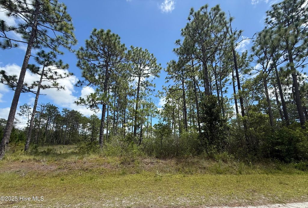 Photo of 407 Sunset Road, Boiling Spring Lakes, NC 28461 (MLS # 100518194)