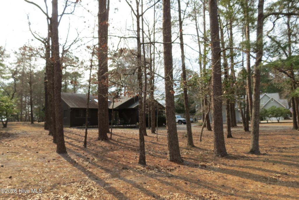 Photo of 135 Wilson Circle, Minnesott Beach, NC 28510 (MLS # 100559544)