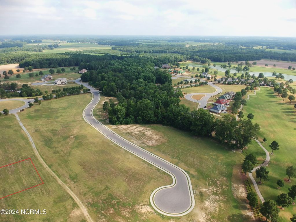 Photo of 170 Weeping Willow Court, Snow Hill, NC 28580 (MLS # 100451456)