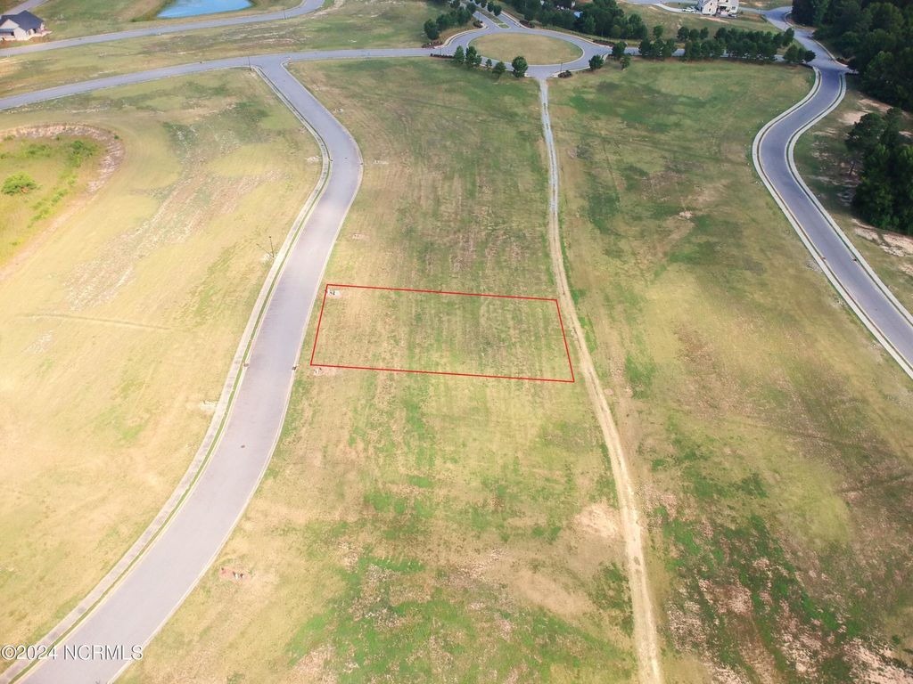 Photo of 170 Weeping Willow Court, Snow Hill, NC 28580 (MLS # 100451456)