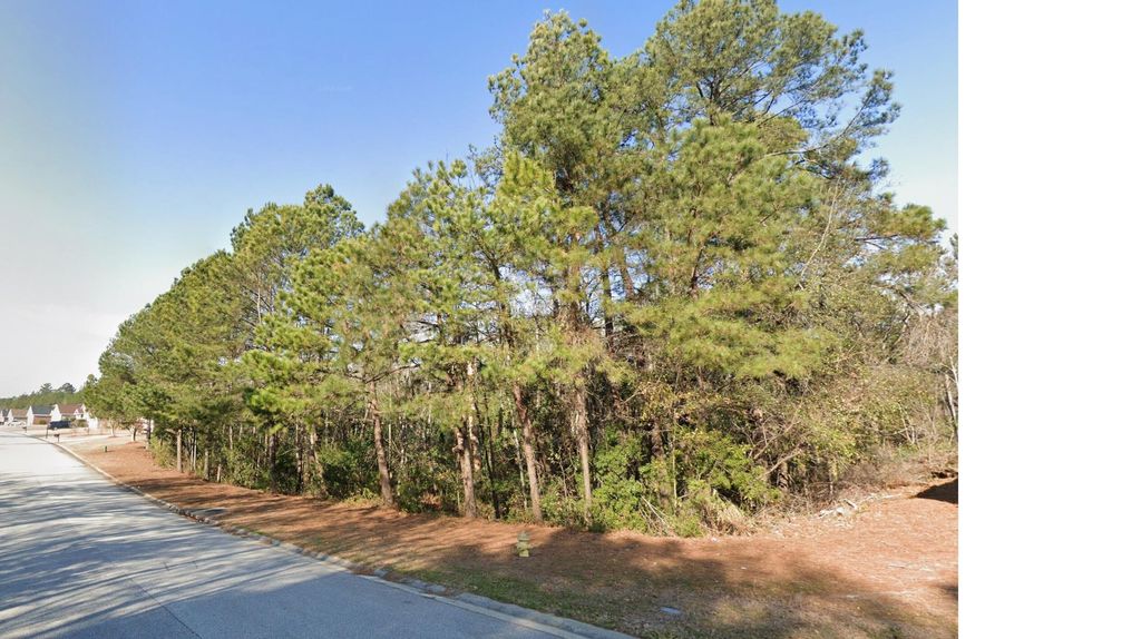 Photo of 4011 Madison Lane, Augusta, GA 30909 (MLS # 554699)