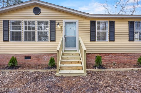 Tiny photo for 371 Harley Drive, Willard, NC 28478 (MLS # 100549931)