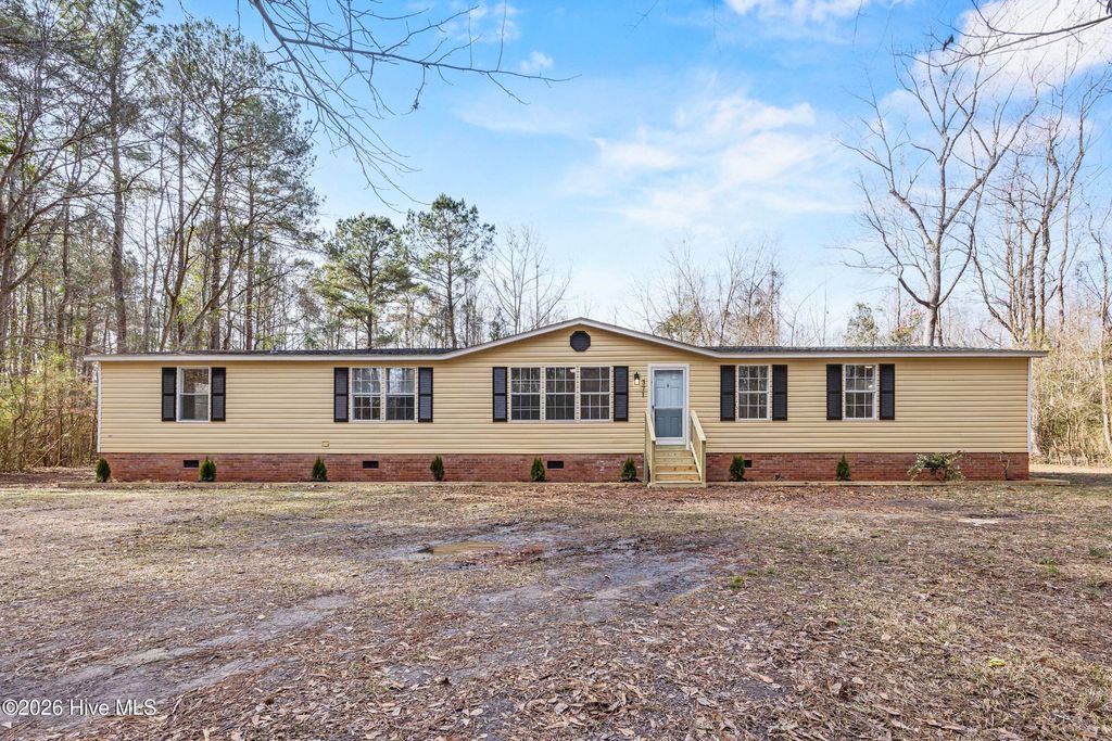 Photo of 371 Harley Drive, Willard, NC 28478 (MLS # 100549931)
