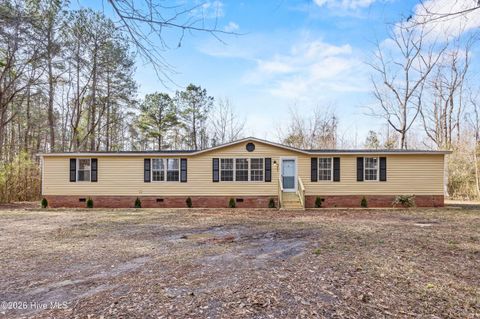 Photo of 371 Harley Drive, Willard, NC 28478 (MLS # 100549931)