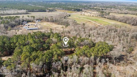 Tiny photo for 371 Harley Drive, Willard, NC 28478 (MLS # 100549931)