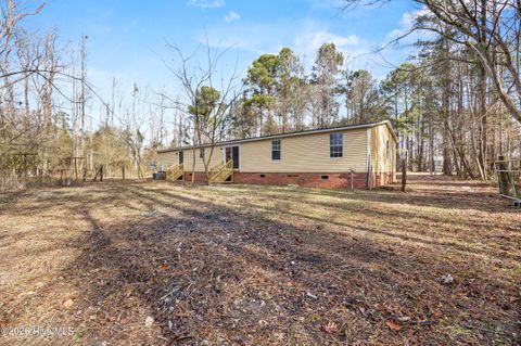Tiny photo for 371 Harley Drive, Willard, NC 28478 (MLS # 100549931)