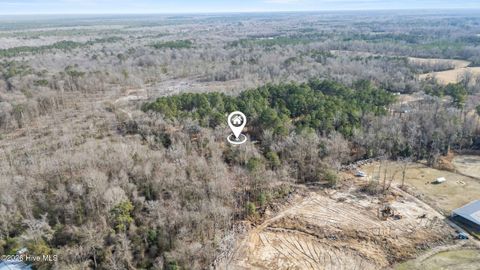 Tiny photo for 371 Harley Drive, Willard, NC 28478 (MLS # 100549931)