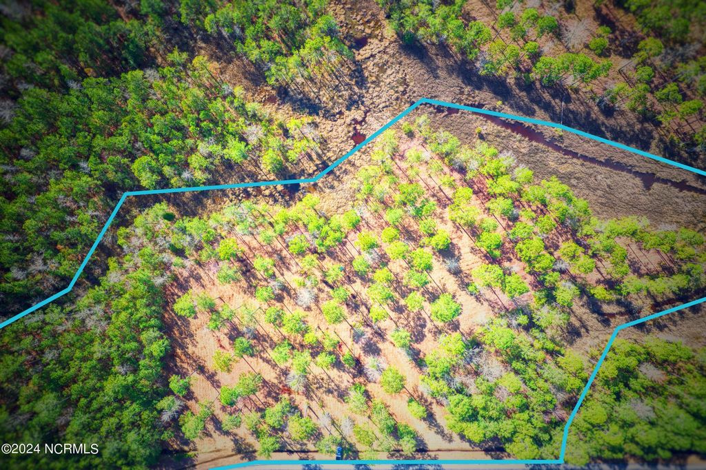 Photo of 203 Paradox Point Drive, Aurora, NC 27806 (MLS # 100432129)