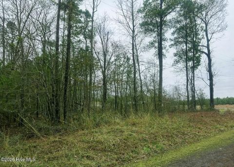 Vacant Land For Sale - LOTS 35-36 Choctaw Trail<br/> Hertford, NC 27944