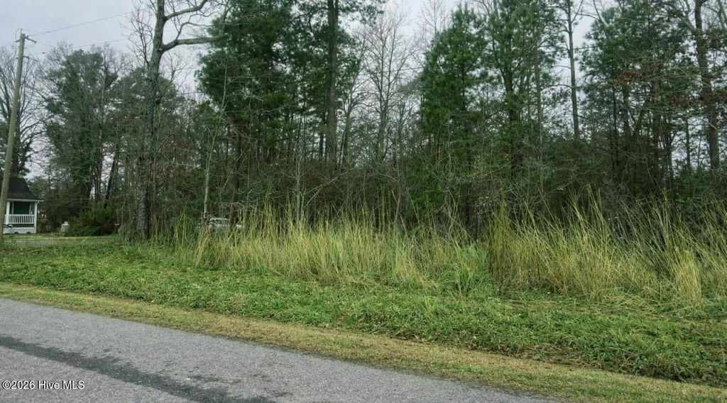 Photo of 3536 Choctaw Trail, Hertford, NC 27944 (MLS # 100557097)