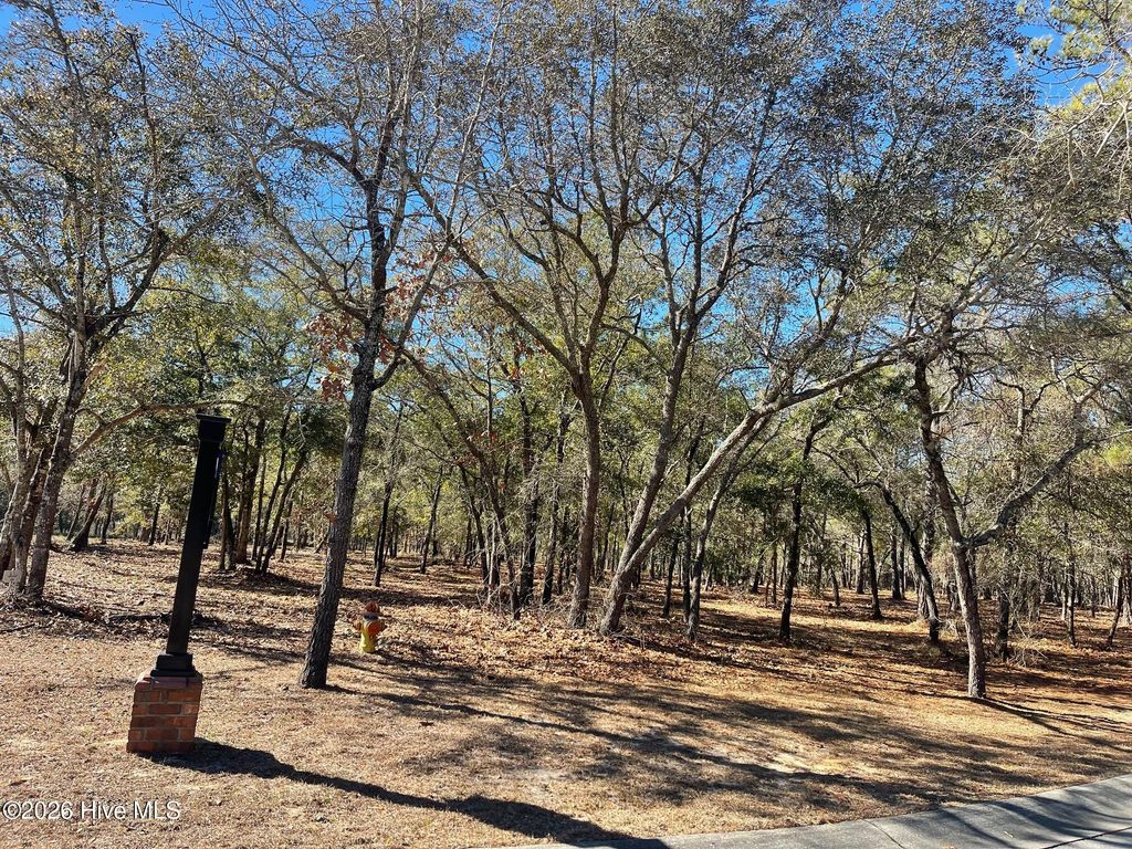 Photo of 3627 Concordia Avenue SW, Supply, NC 28462 (MLS # 100550558)