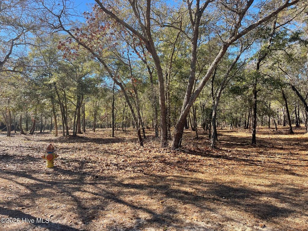 Photo of 3627 Concordia Avenue SW, Supply, NC 28462 (MLS # 100550558)