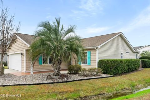 Photo of 4292 River Birch Drive, Southport, NC 28461 (MLS # 100538877)