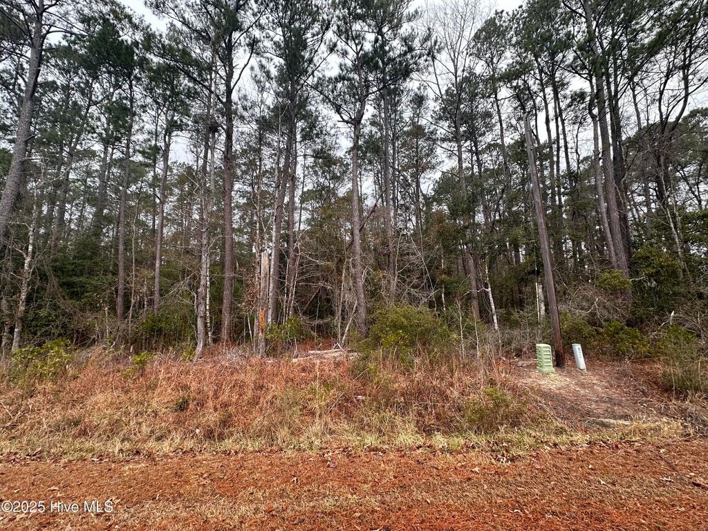 Photo of 151 Dogwood Trail SW, Supply, NC 28462 (MLS # 100533362)