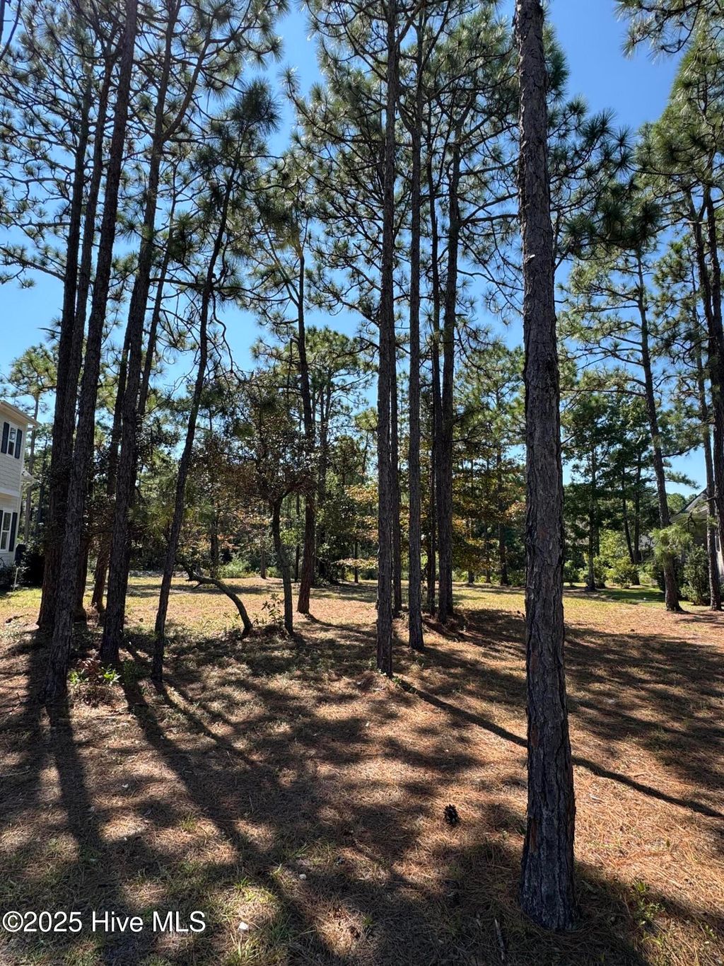 Photo of 6727 Madden Lane, Ocean Isle Beach, NC 28469 (MLS # 100535785)