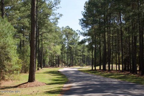 Tiny photo for 585 Elorriga Drive SE, Bolivia, NC 28422 (MLS # 100556097)