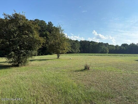 6171 OLD RALEIGH ROAD, SIMS, NC 27880 - Image c8b7852beaaf57d48ea2d4b6ea980d85/474552957