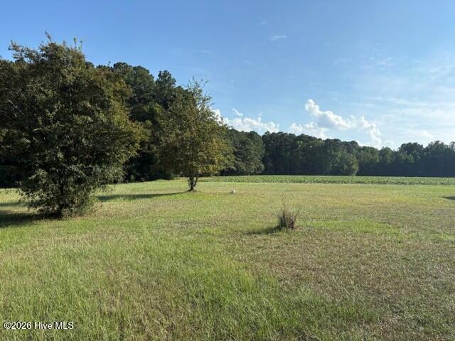 Photo of 6171 Old Raleigh Road, Sims, NC 27880 (MLS # 100608551)