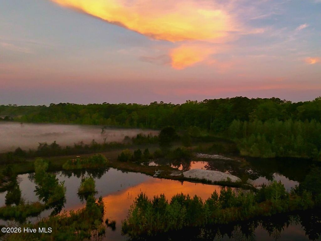 Photo of 0 Durwood Evans Road, Beulaville, NC 28518 (MLS # 100568962)