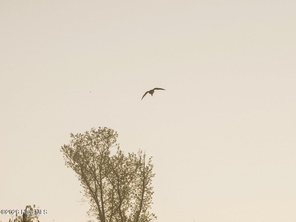 Photo of 0 Durwood Evans Road, Beulaville, NC 28518 (MLS # 100568962)