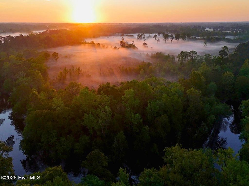 Photo of 0 Durwood Evans Road, Beulaville, NC 28518 (MLS # 100568962)