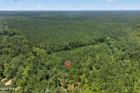 Tiny photo for 540 Copperhead Lane, Burgaw, NC 28425 (MLS # 100590708)