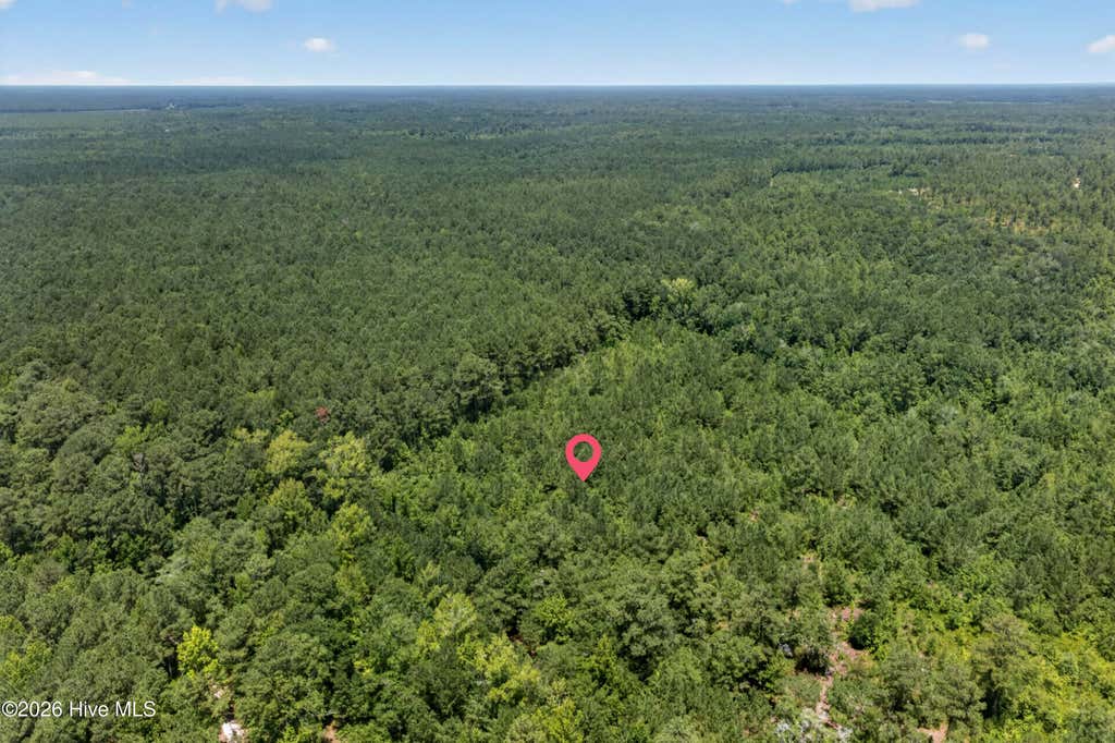 Photo of 540 Copperhead Lane, Burgaw, NC 28425 (MLS # 100590708)