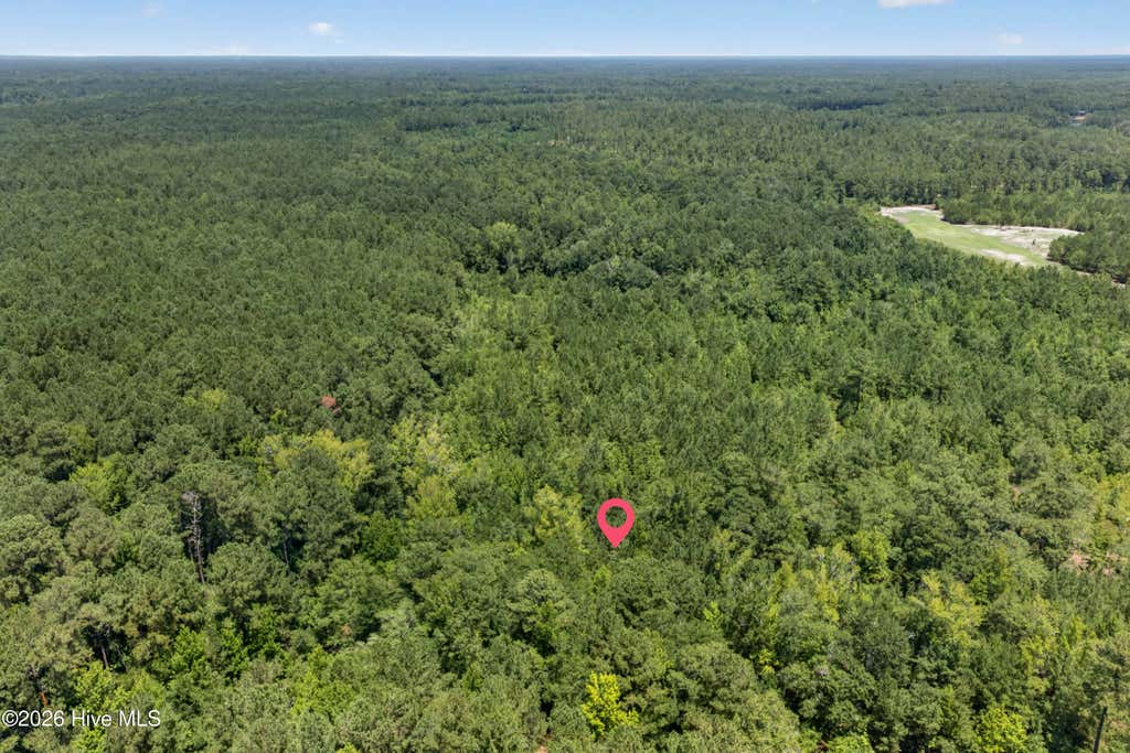 Photo of 540 Copperhead Lane, Burgaw, NC 28425 (MLS # 100590708)