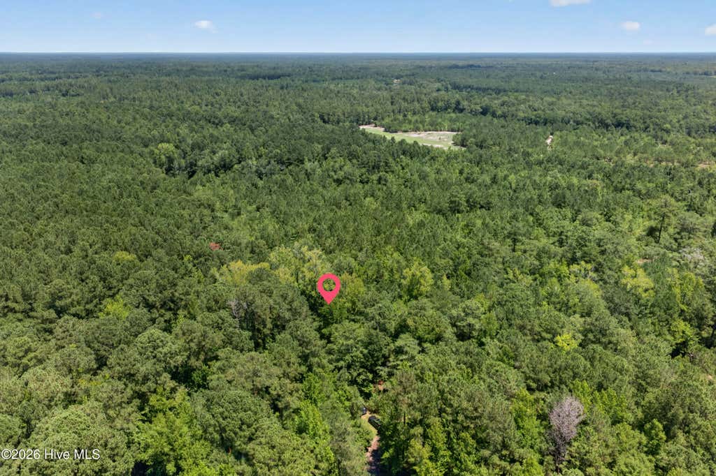 Photo of 540 Copperhead Lane, Burgaw, NC 28425 (MLS # 100590708)