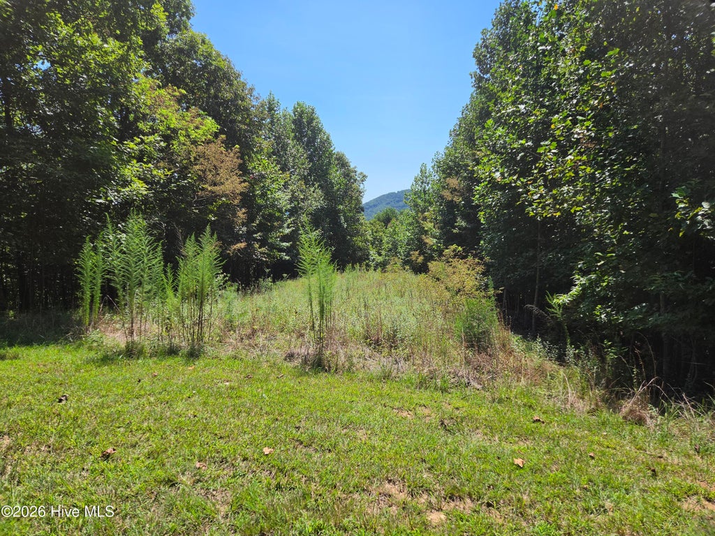 Photo of 69 Collins Court, Murphy, NC 28906 (MLS # 100598086)