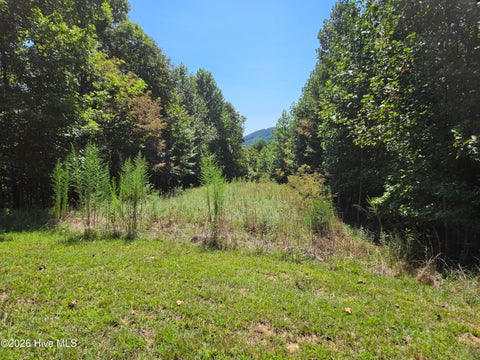 Vacant Land For Sale - LOT 69 Collins Court<br/> Murphy, NC 28906