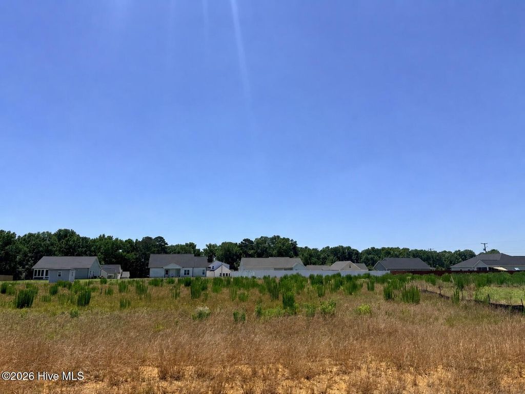 Photo of 104 Jackson Ridge Way, Pikeville, NC 27863 (MLS # 100583747)